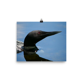 Loon Poster